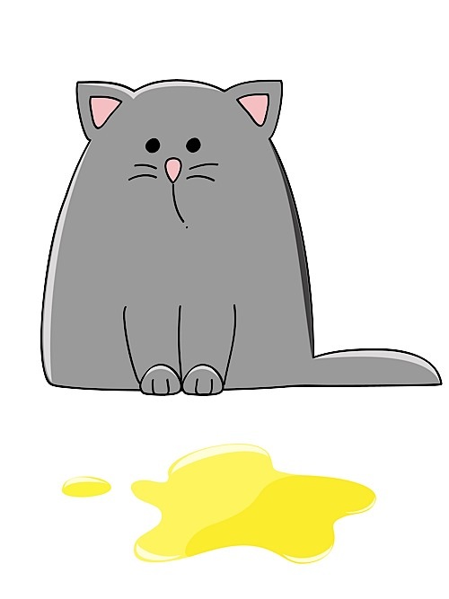 dificultad para orinar curas de gatos dificultad para orinar curas de gatos